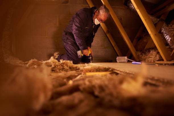 Best Types of Insulation in Carrollton, IL